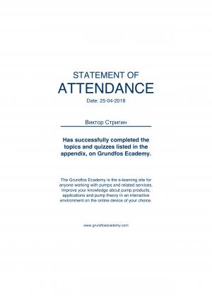 Statement of Attendance – Стригин Виктор